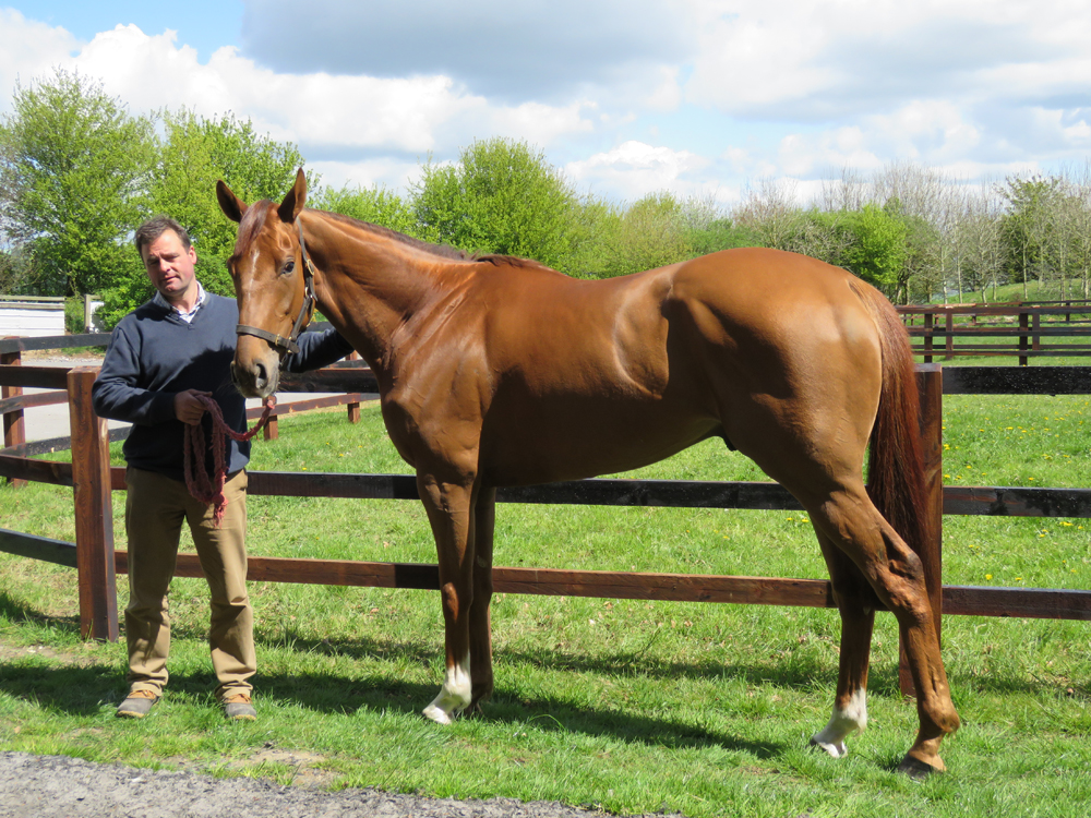 Neil King with Lil Rockerfeller 