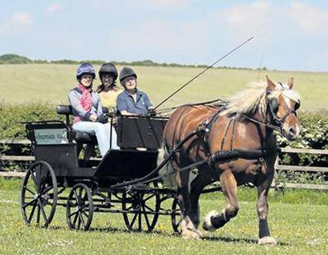 Perrine - now to be retired